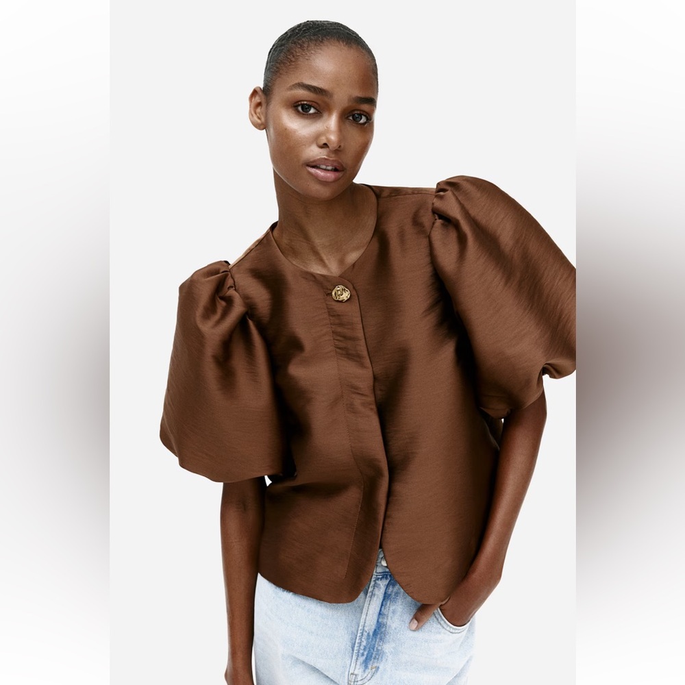 H&M Brown Puff Sleeve Blouse